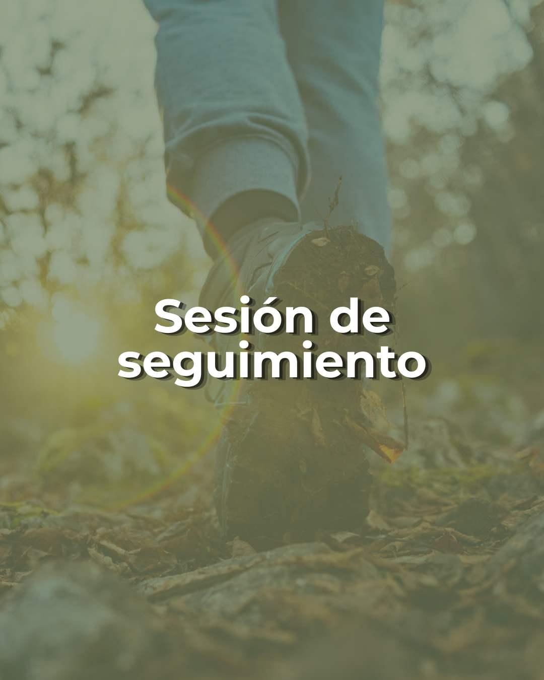 Sesión de seguimiento