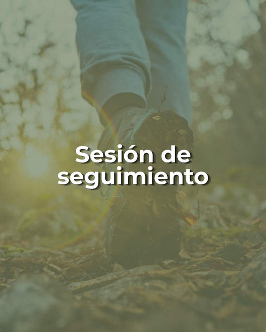 Sesión de seguimiento