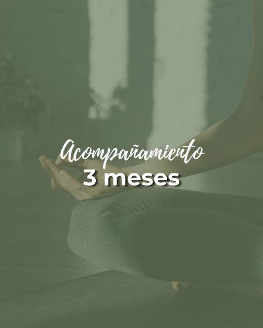 Proceso integral 3 meses